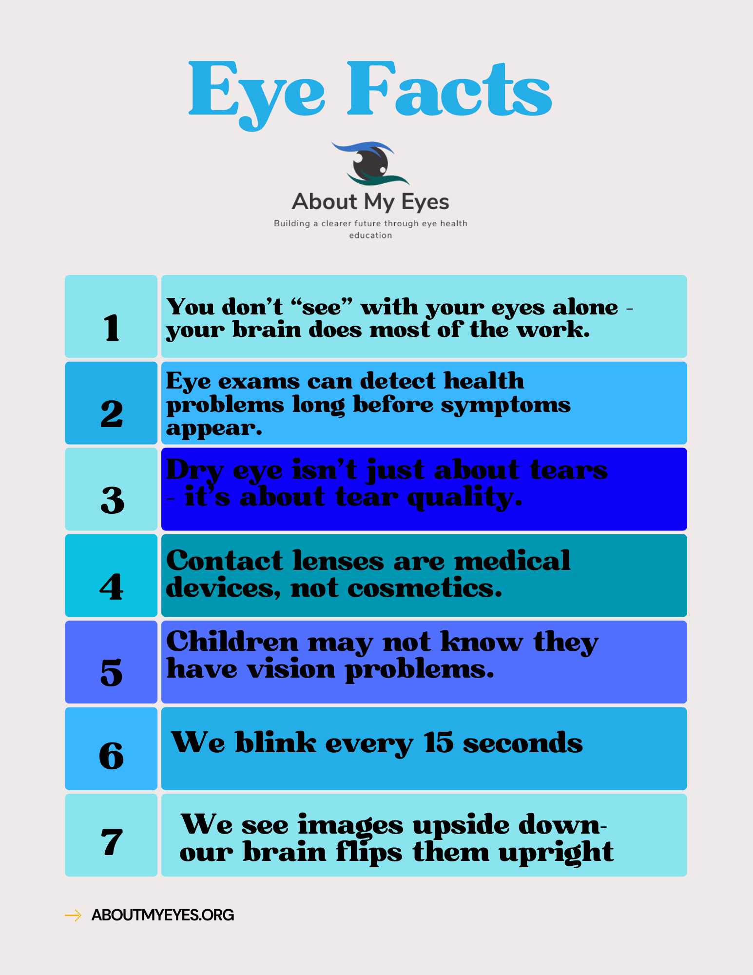 Infographic titled 'Eye Facts' with seven facts about eye health and vision.