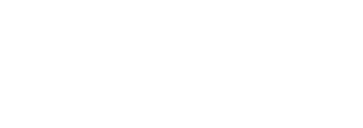 Academy Within