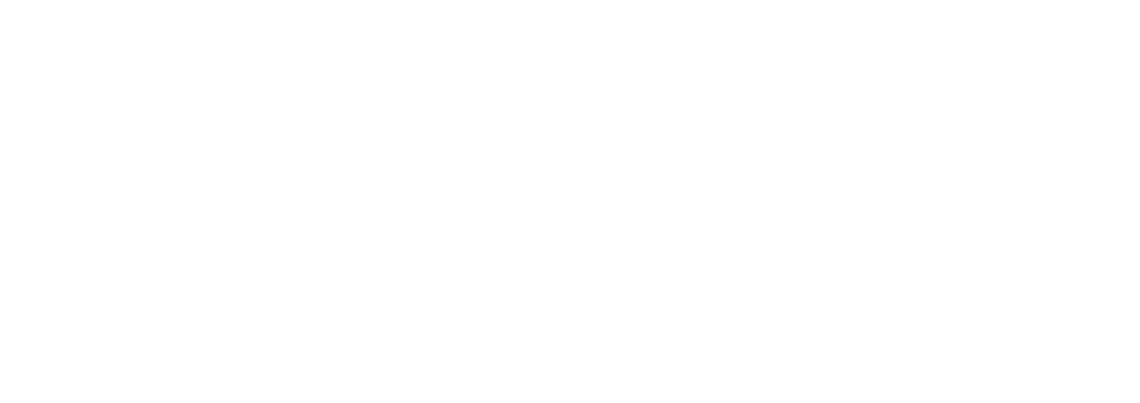 Academy Within