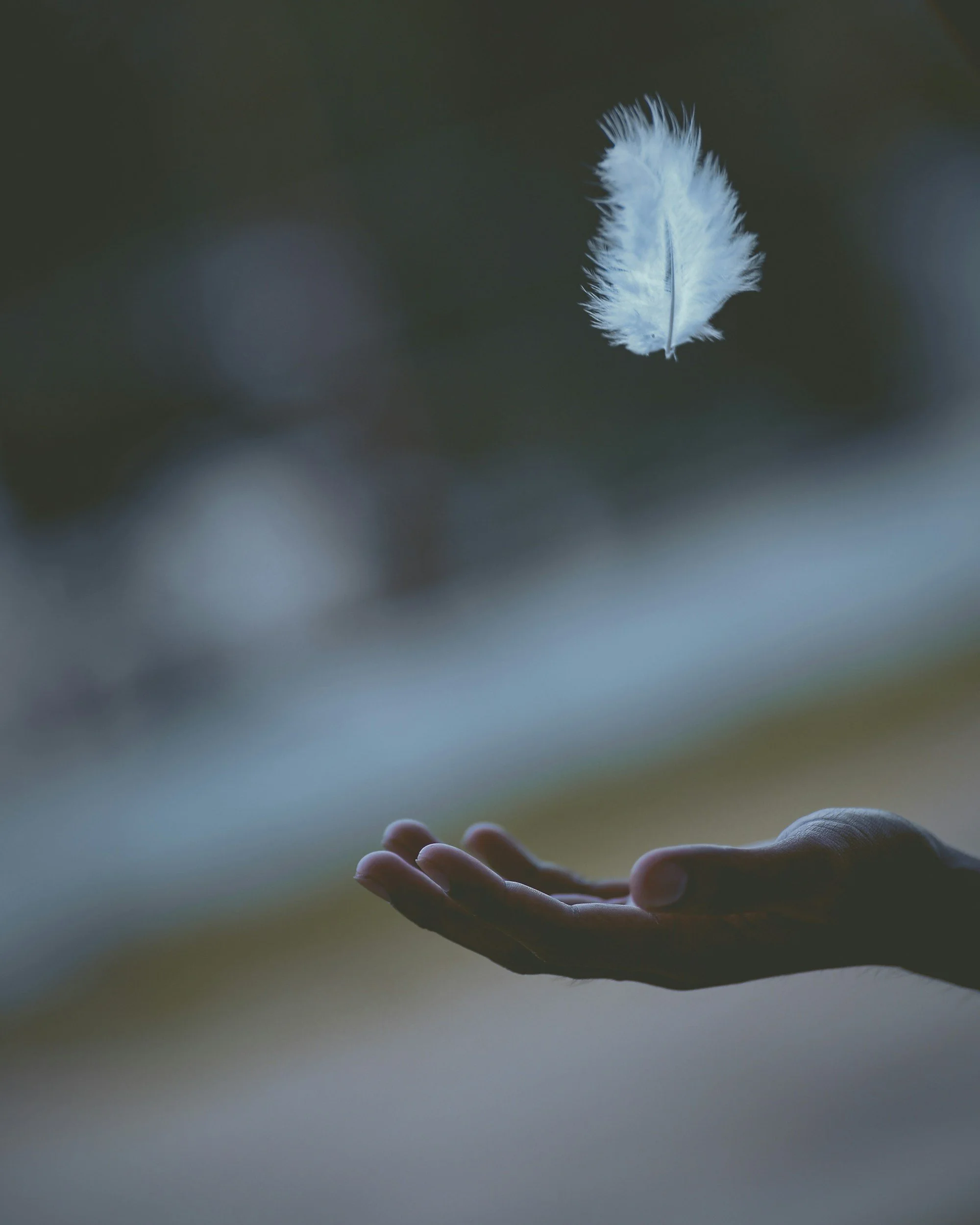 An open hand with a white feather floating just above the palm.