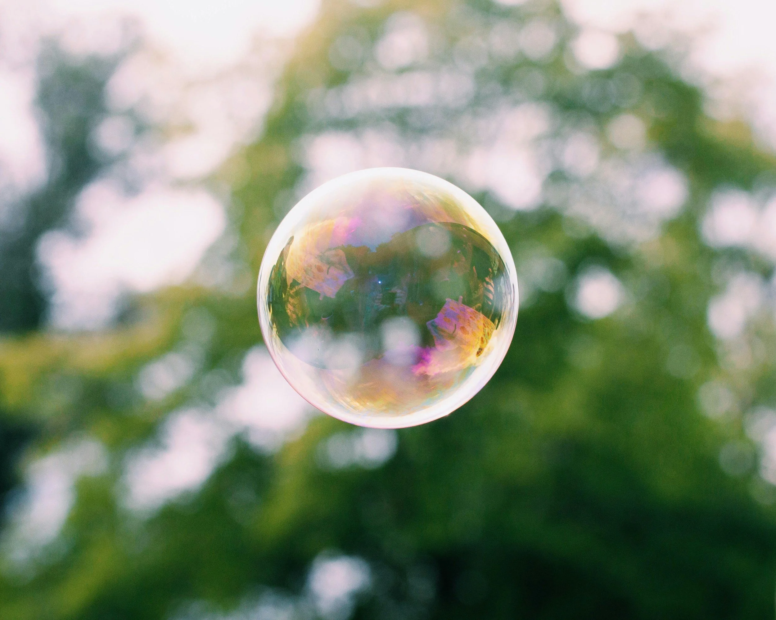 A single iridescent soap bubble floating in front of sunlit green trees.