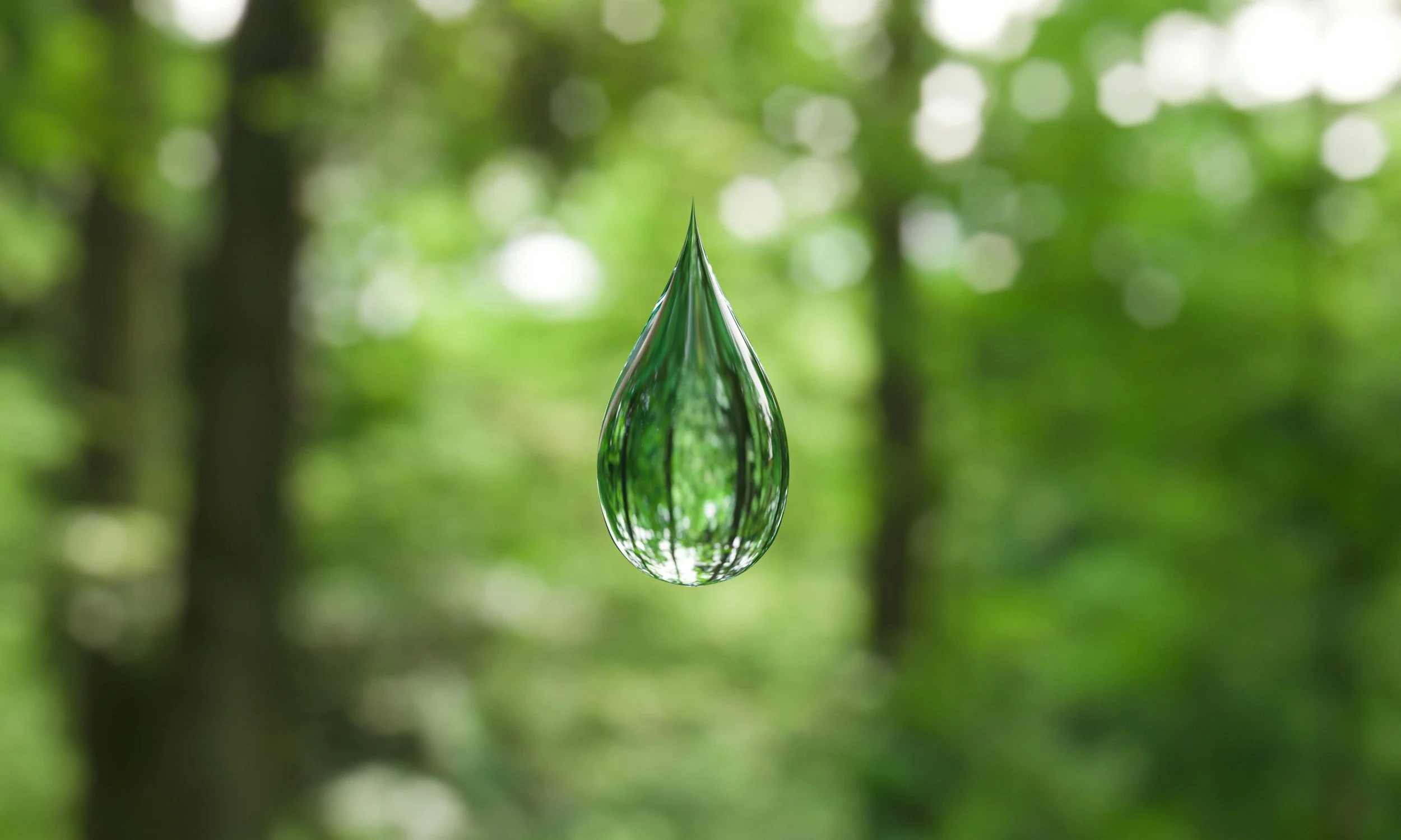 A clear water droplet suspended in front of a blurred green forest.