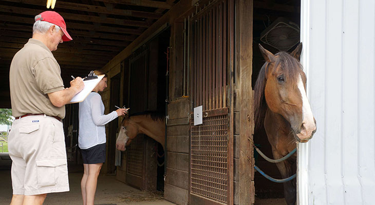 Two people with clipboards observing a horse