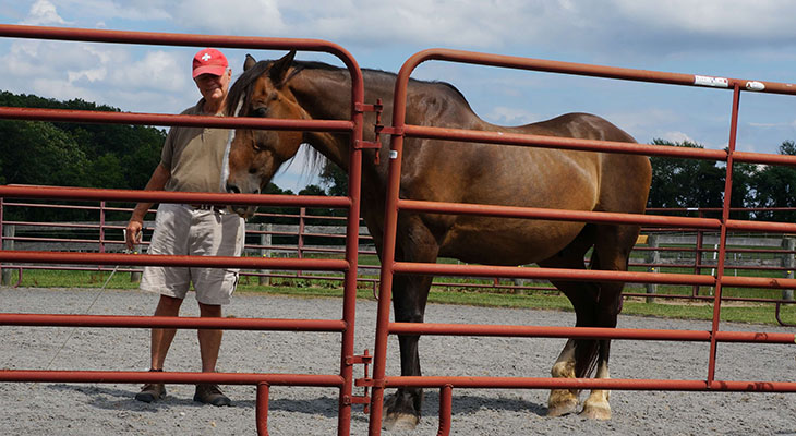 Man in a red cap beside a bay horse