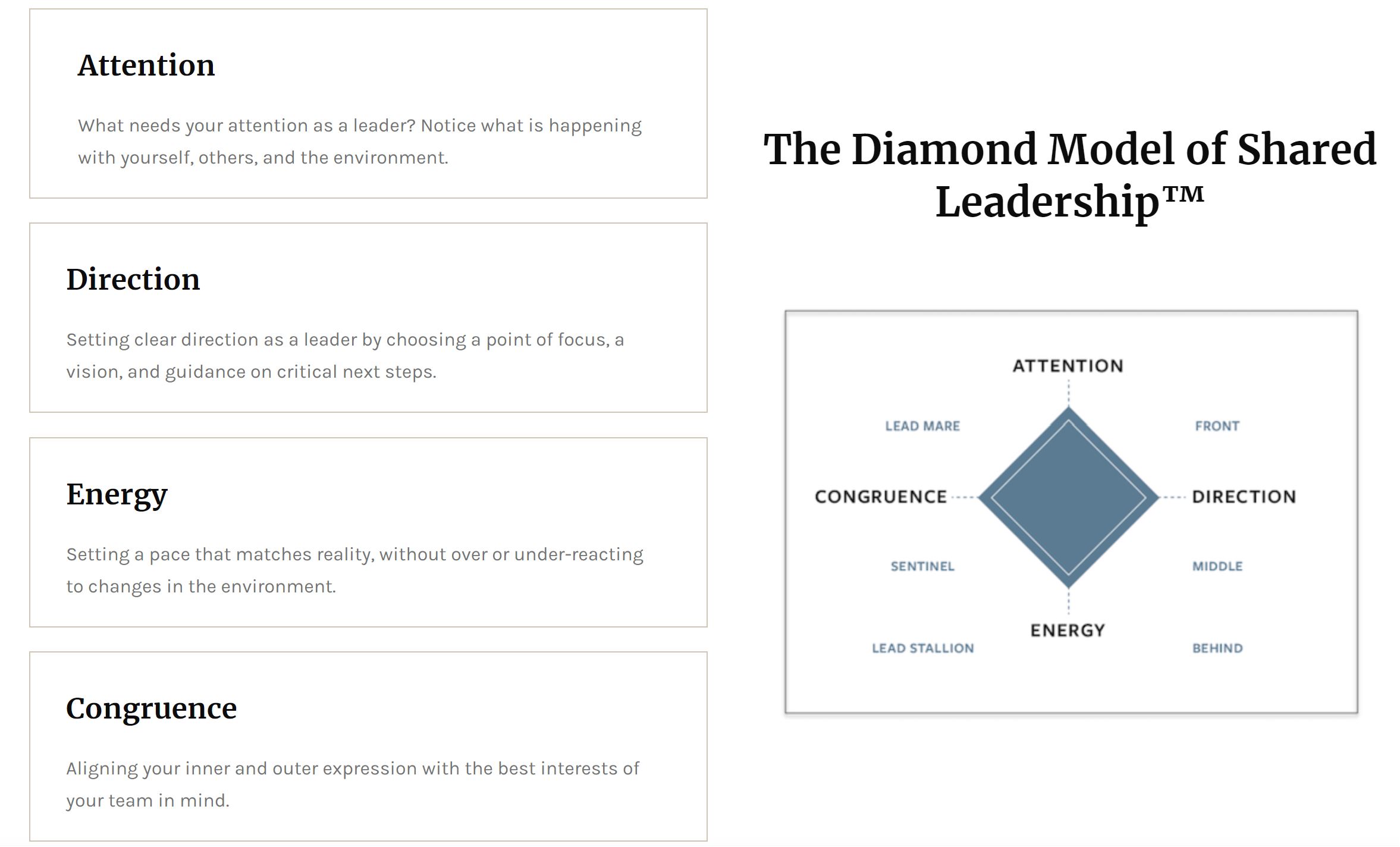 The Diamond Model of Shared Leadership — Attention, Direction, Energy, Congruence