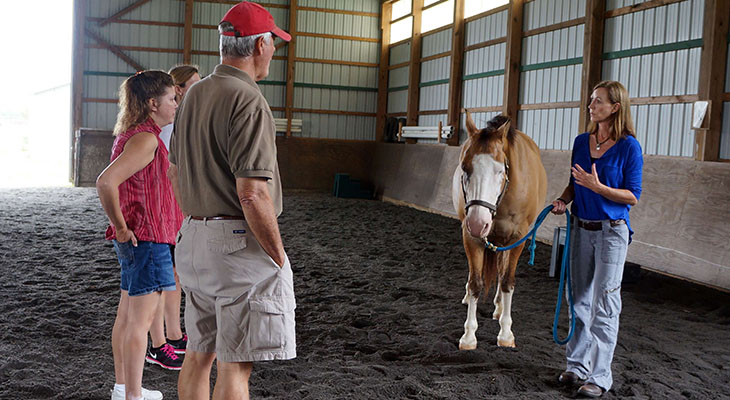Instructor introducing participants to a palomino