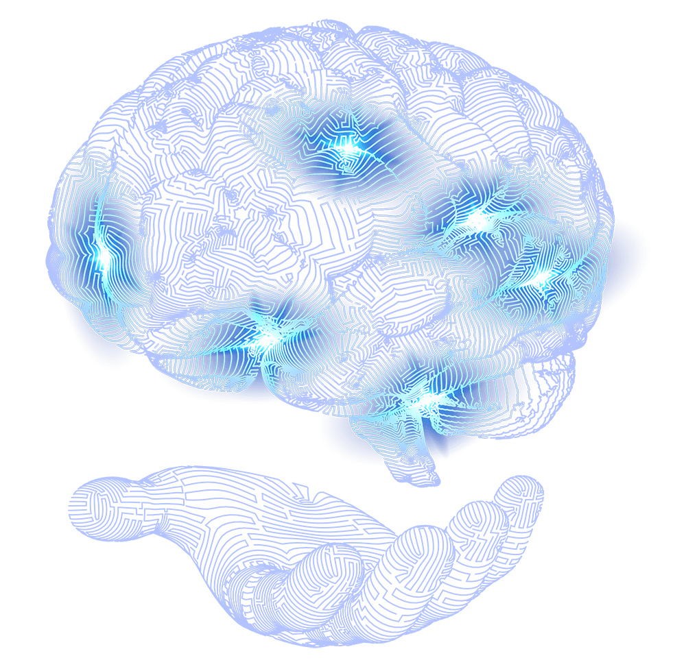 Neural network brain illustration representing WotNow?!'s neuroscience foundation