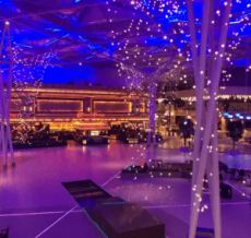 Event venue with purple uplighting