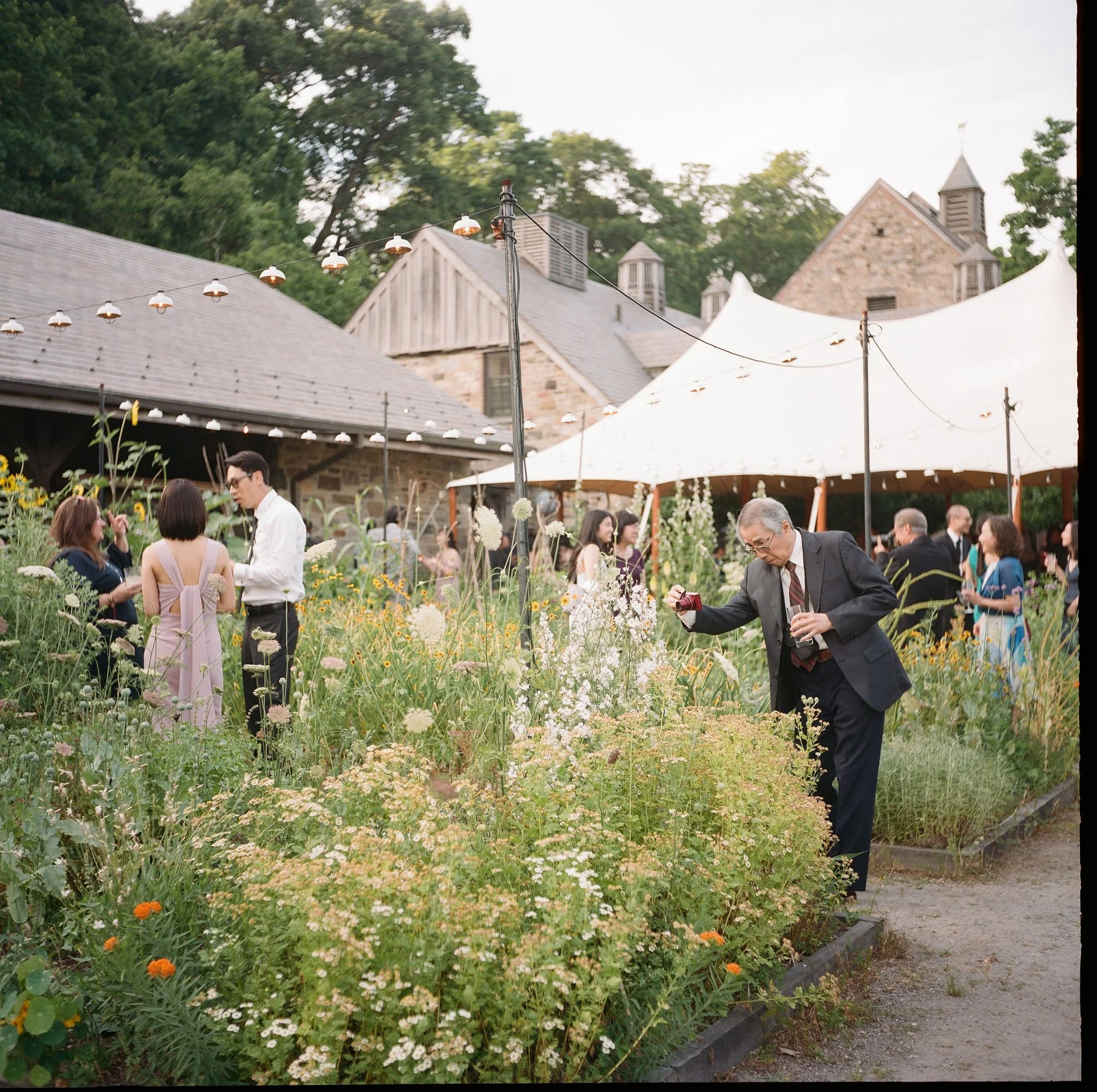 Outdoor cocktail hour with guests in a wildflower garden, a stone manor and white tent beyond.