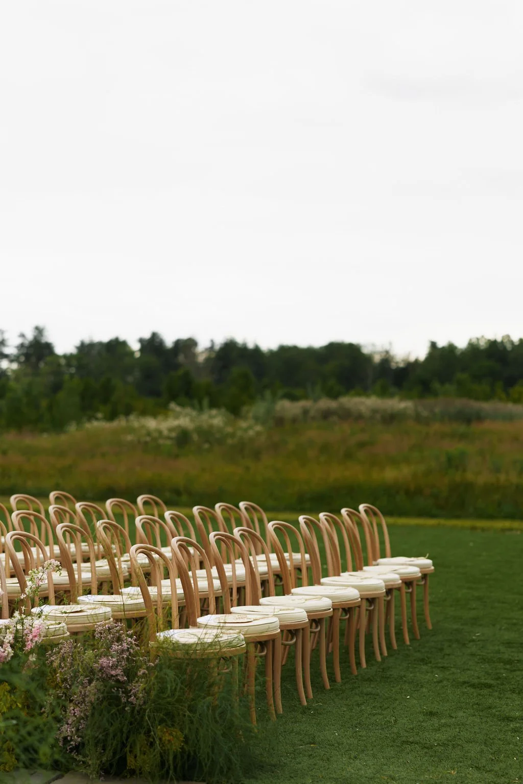 Rows of rattan bentwood ceremony chairs on an open lawn.