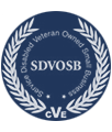 Service-Disabled Veteran-Owned Small Business seal