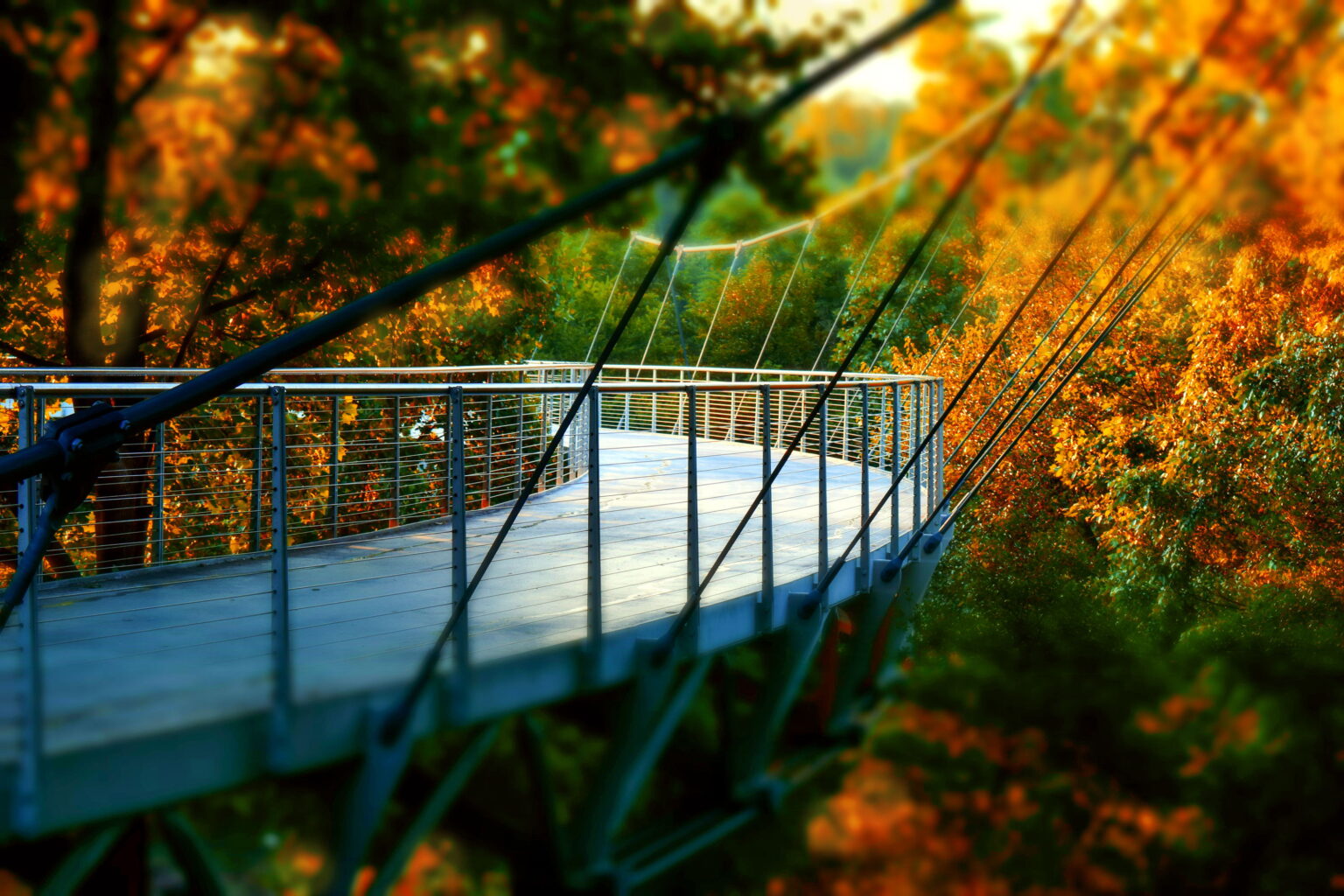 Modern pedestrian suspension bridge surrounded by vibrant autumn foliage