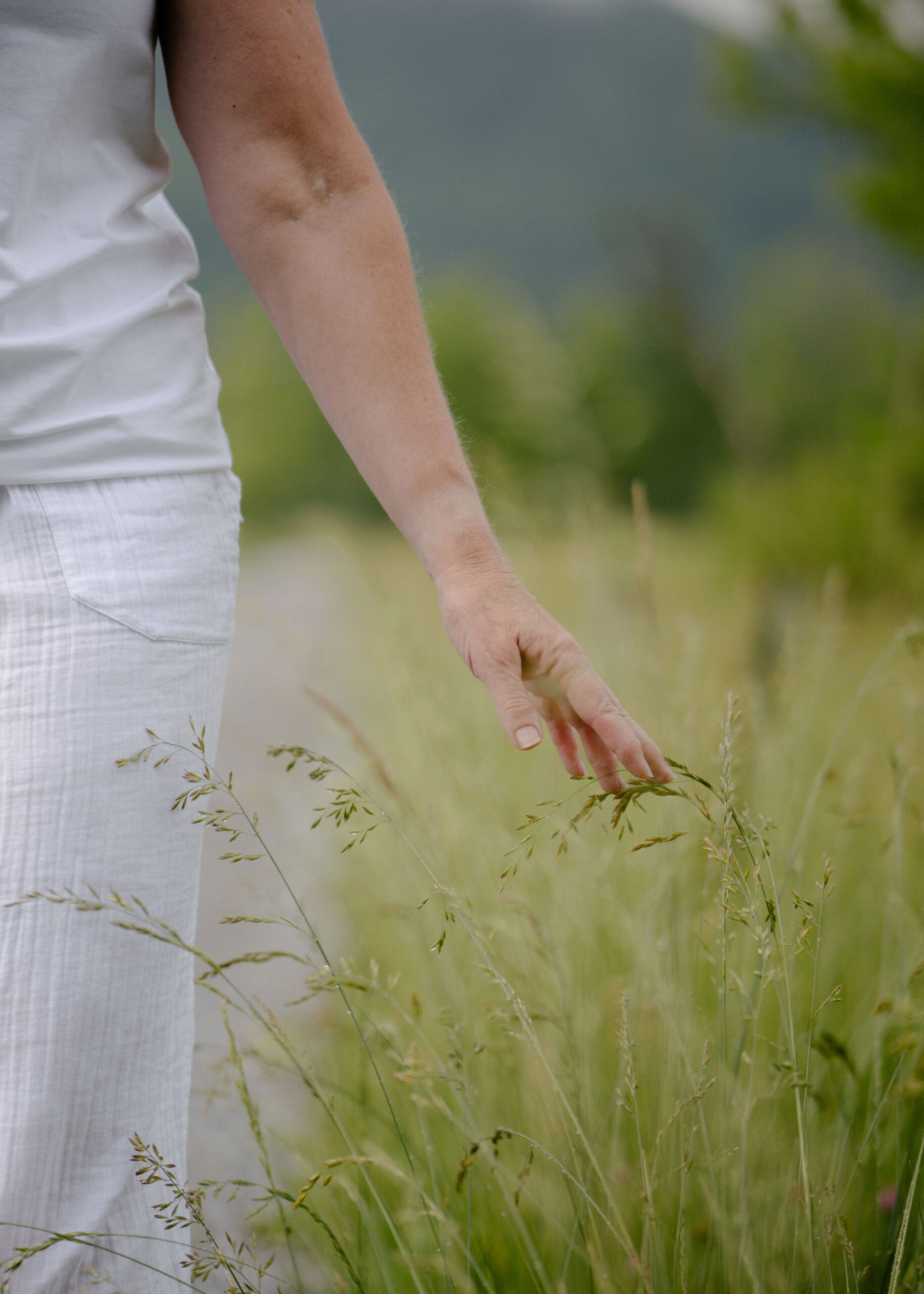 A hand grazing tall meadow grass