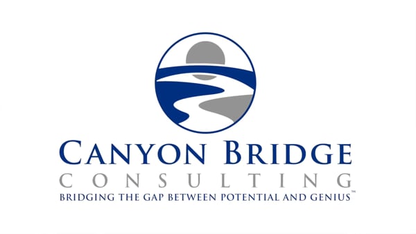 Canyon Bridge Consulting — Bridging the Gap Between Potential and Genius