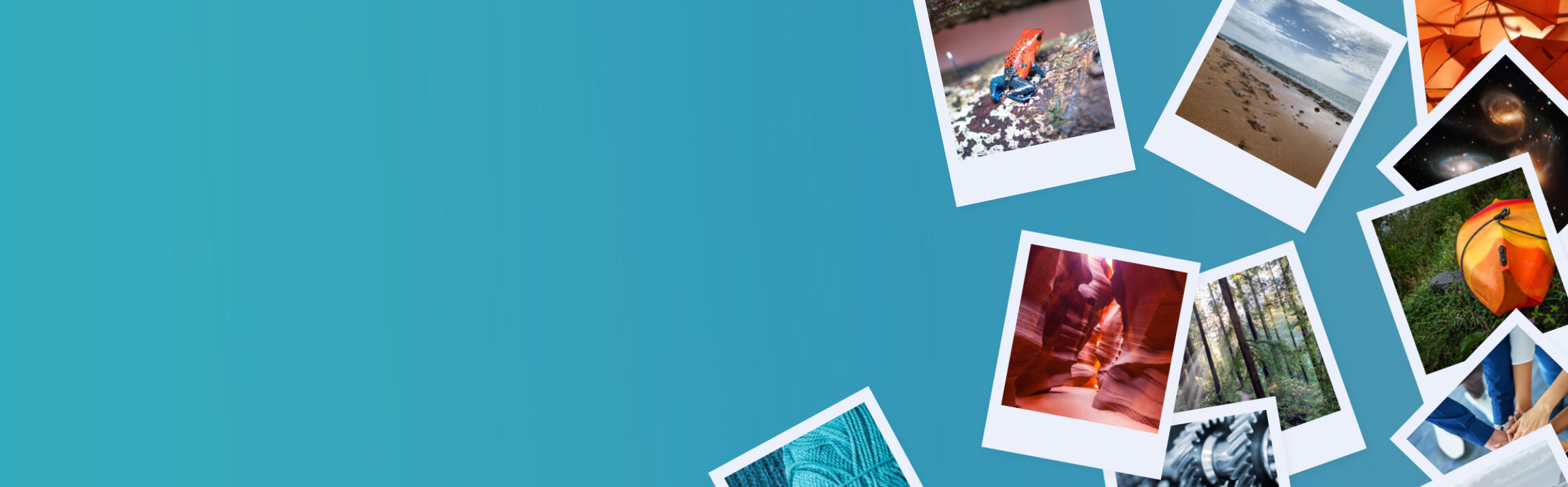 A teal field scattered with polaroid nature photographs — frog, beach, canyon, forest, tent, gears, yarn