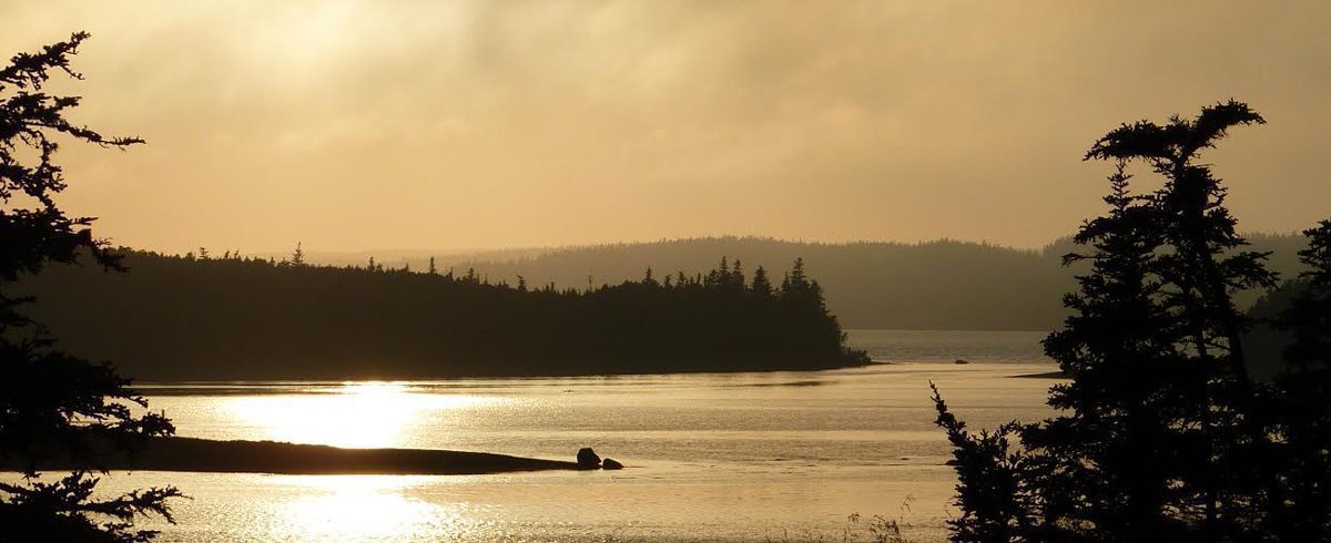 Misty golden-hour lake framed by silhouetted evergreens and forested hills
