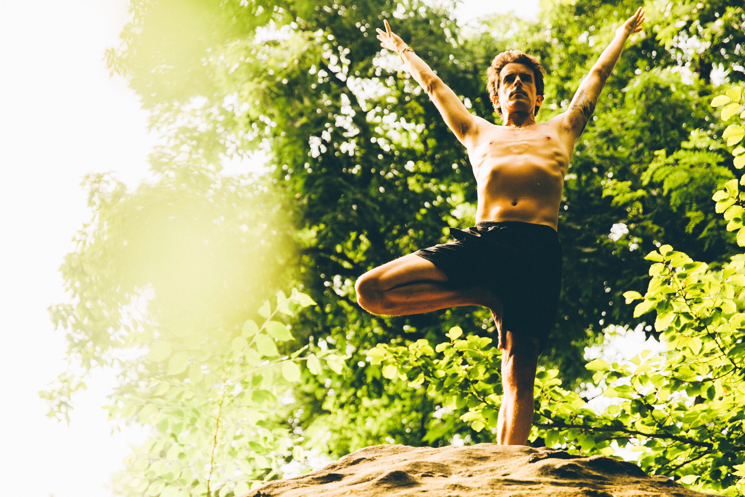 Chad in tree pose outdoors among sunlit green foliage