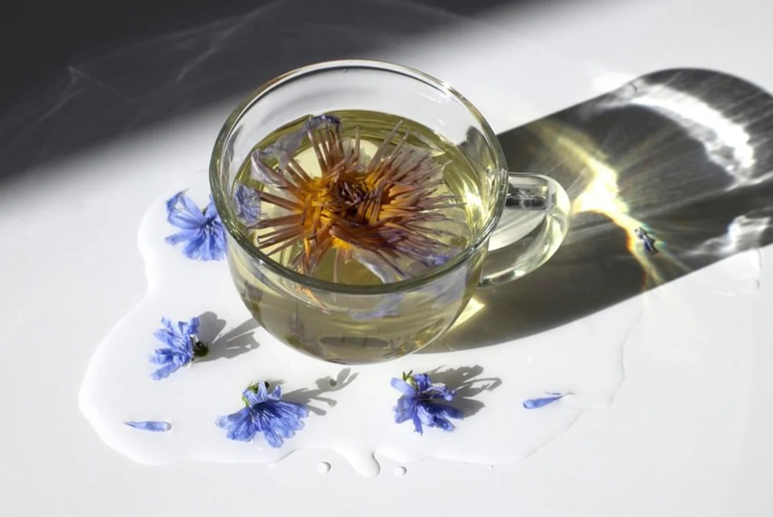 Glass cup of blooming floral tea surrounded by blue cornflowers
