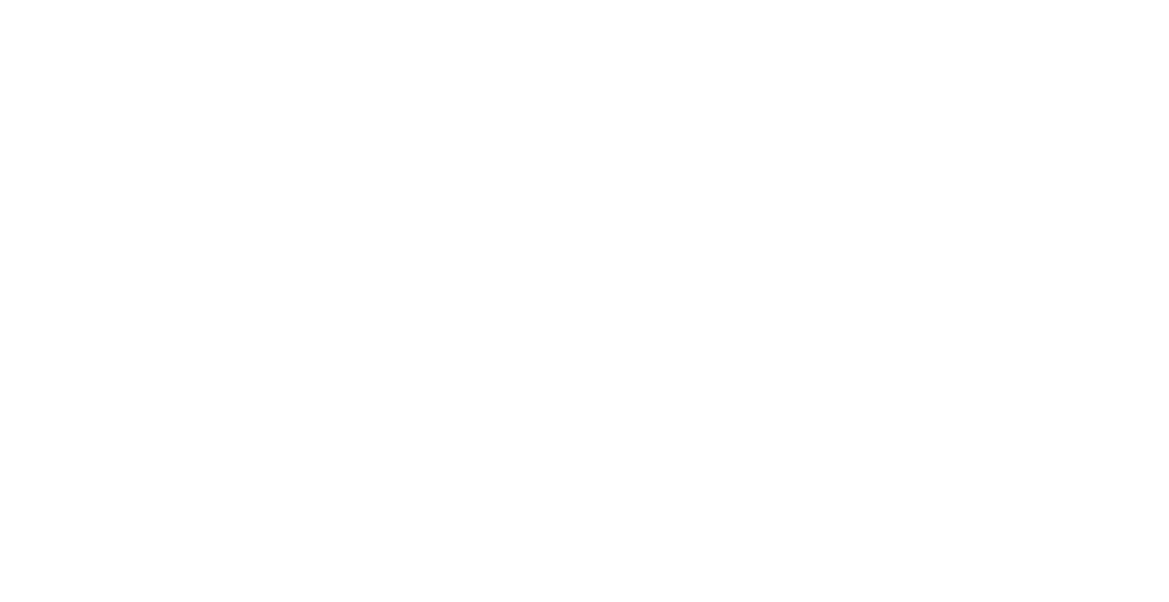 E5 Leader