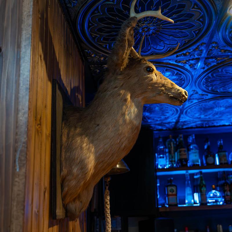 Friends with drinks at the bar