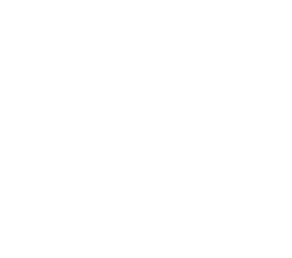 Embodied Essence emblem