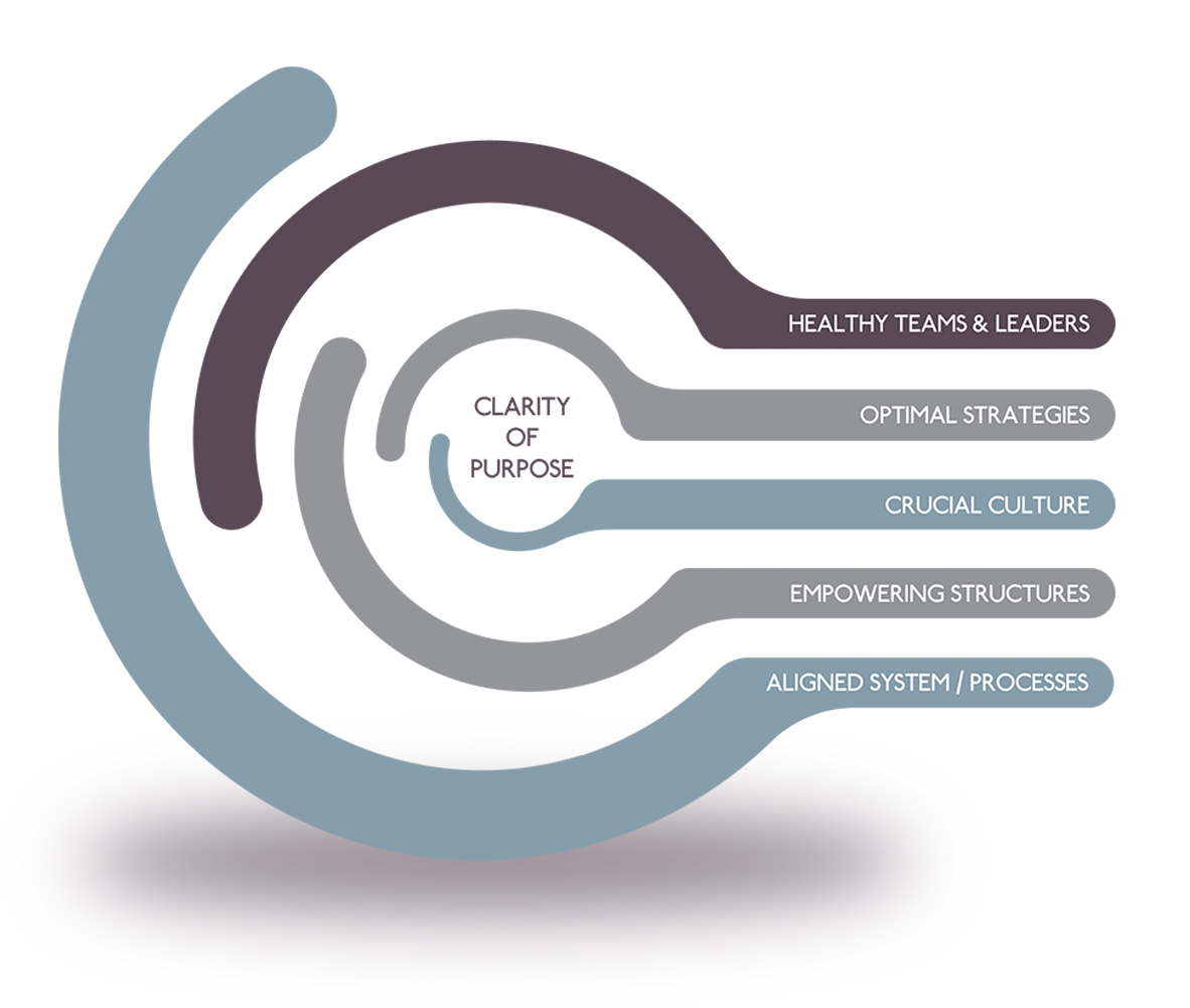 Focus Consulting philosophy diagram: Clarity of Purpose at the center, radiating outward to Healthy Teams & Leaders, Optimal Strategies, Crucial Culture, Empowering Structures, and Aligned Systems & Processes.