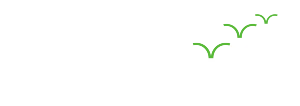 Front Goose — Mental Fitness for High Performance