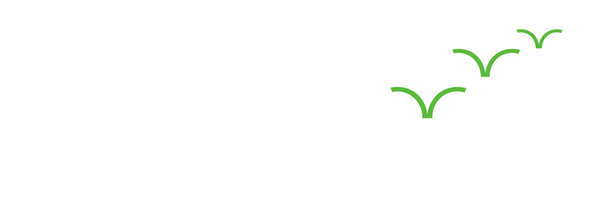 Front Goose — Mental Fitness for High Performance