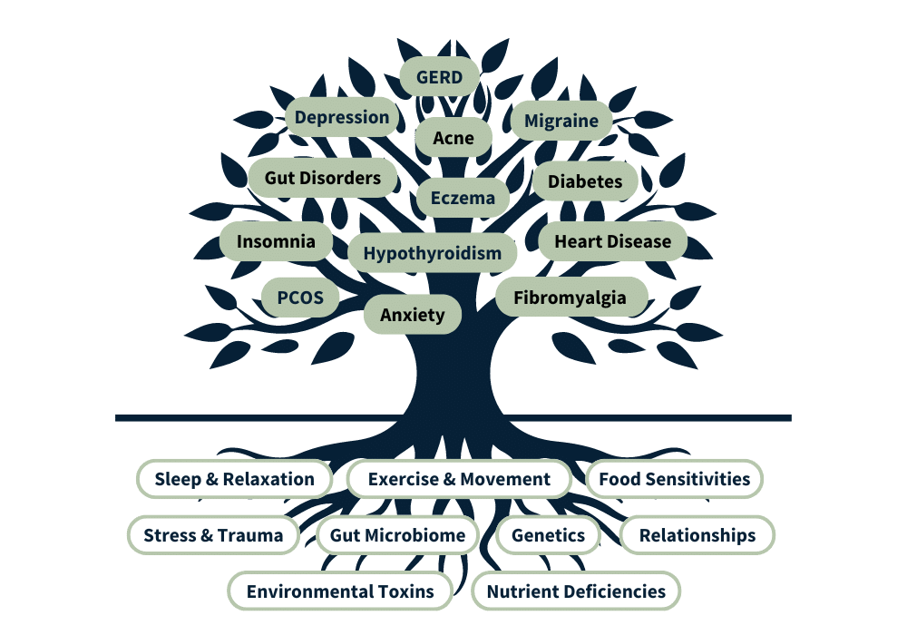 The functional medicine tree: named conditions such as GERD, depression, acne, migraine, eczema, diabetes, PCOS and anxiety appear as leaves, while root causes such as sleep and relaxation, exercise, food sensitivities, stress and trauma, gut microbiome, genetics, environmental toxins and nutrient deficiencies appear as roots