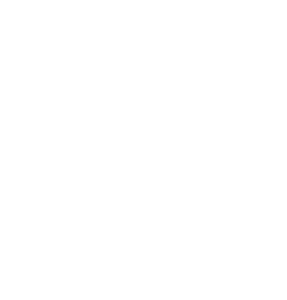 Arrow's Edge Coaching logo