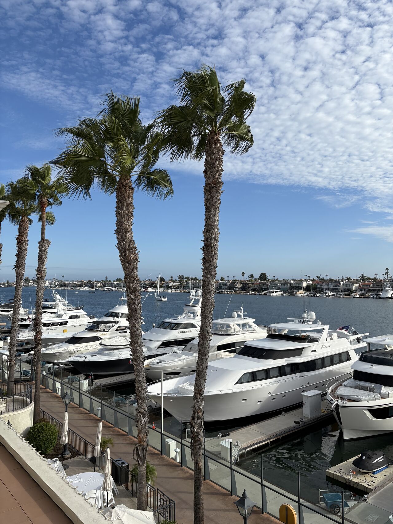 Marina with yachts along a palm-lined waterfront