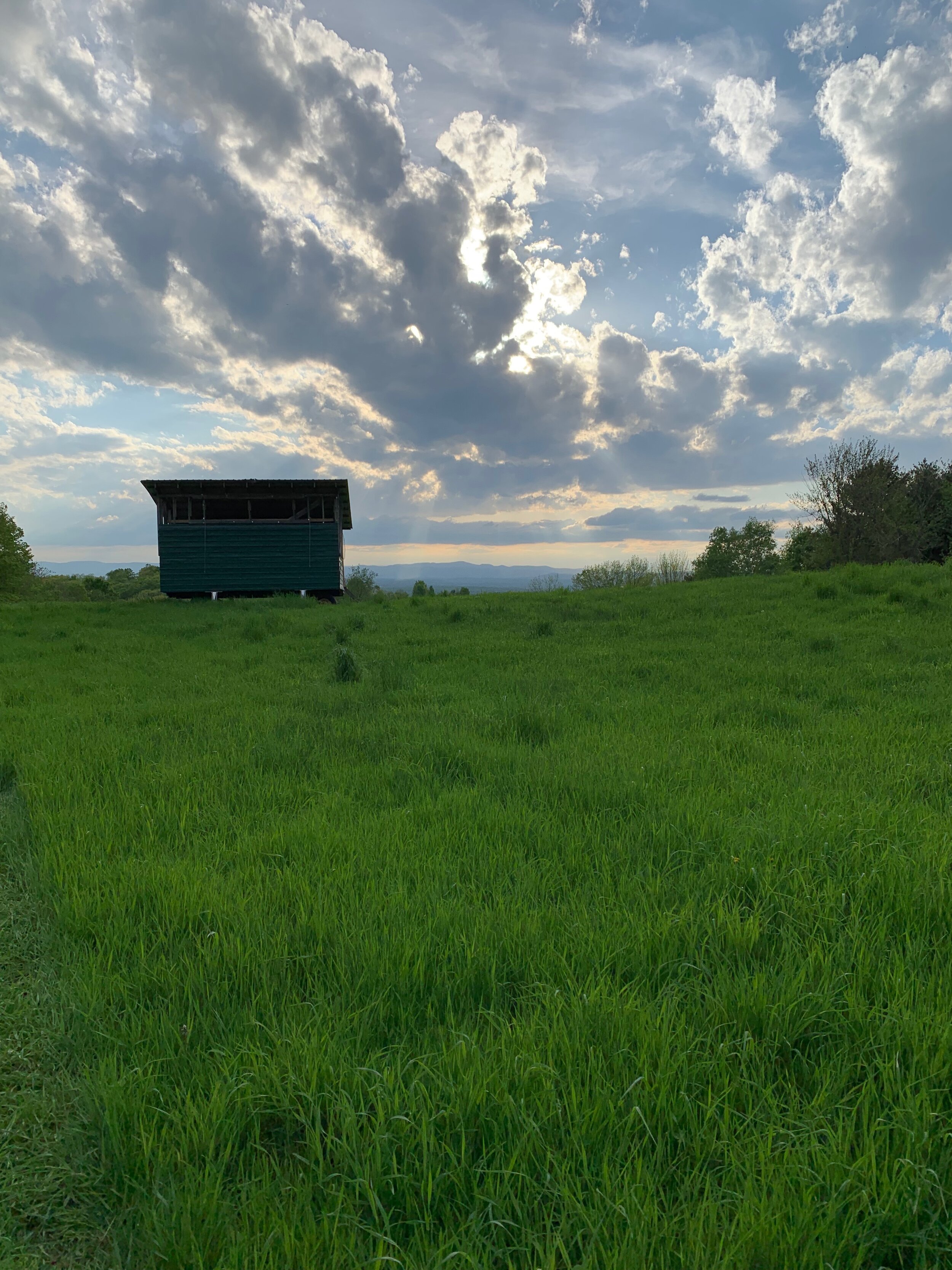 A teal mobile poultry tractor shelter in a green pasture field under a dramatic cloudy sky at dusk