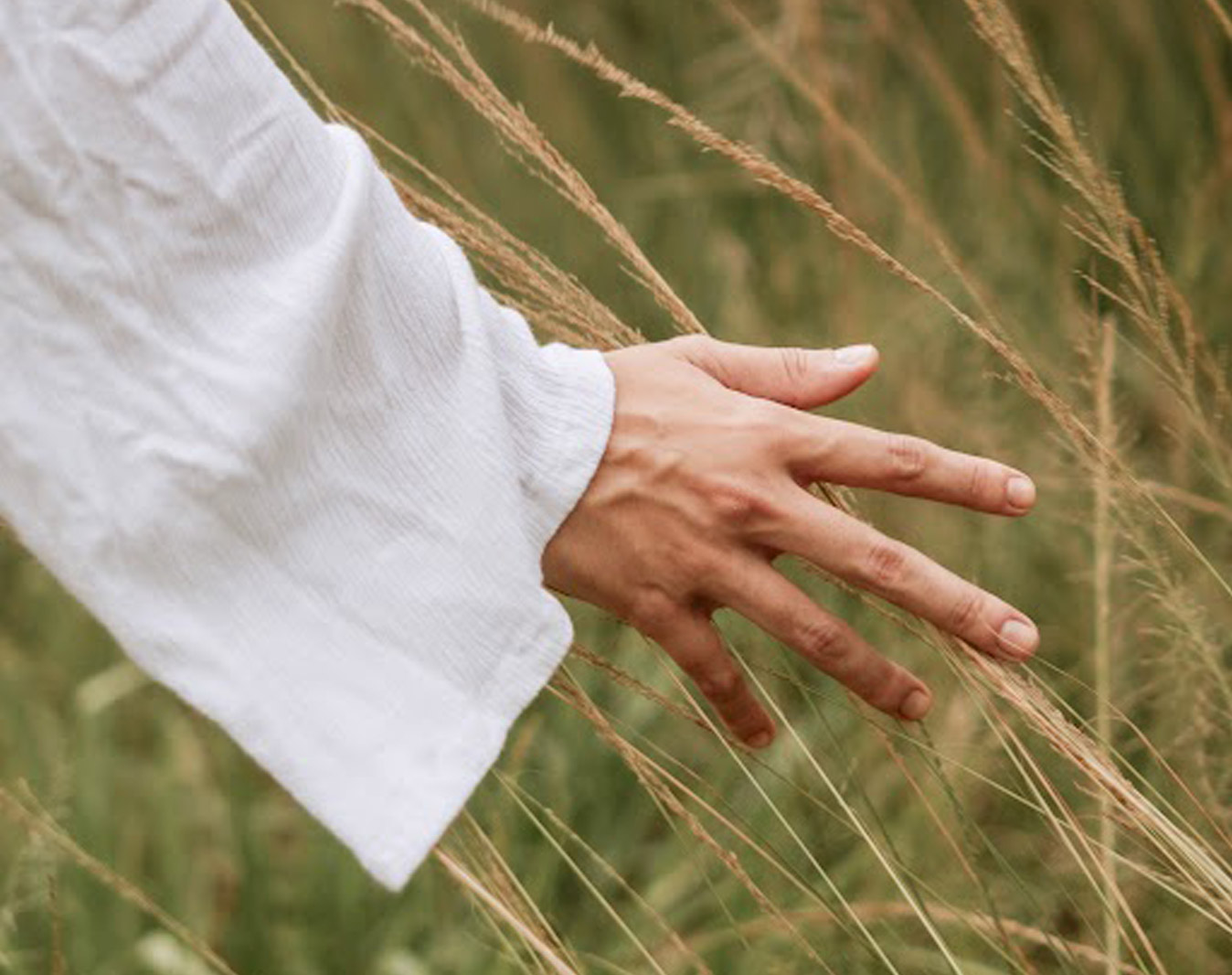 A hand in a white linen sleeve reaching through tall golden grass