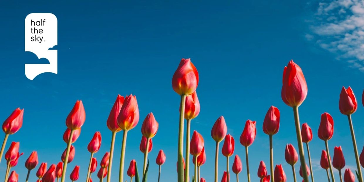 Low-angle photograph of red tulips against a bright blue sky, with the Half the Sky logo in the upper left