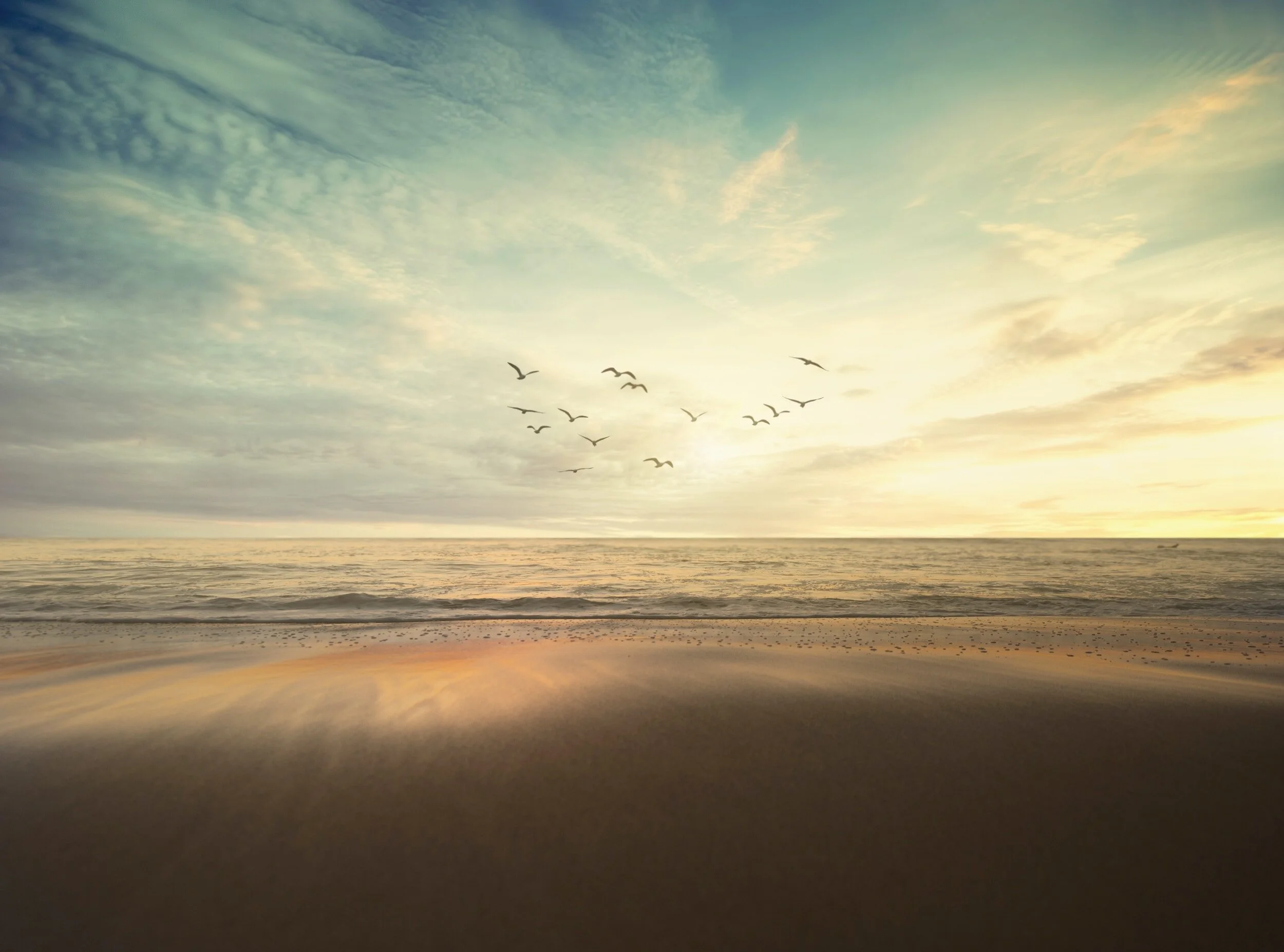 Serene beach at golden hour with a flock of birds flying over the calm ocean.