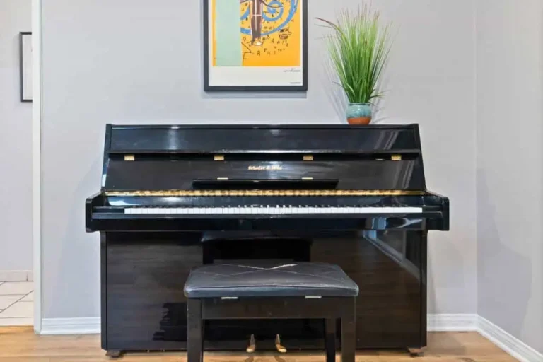Room with a black upright piano, bench, framed artwork and a potted plant