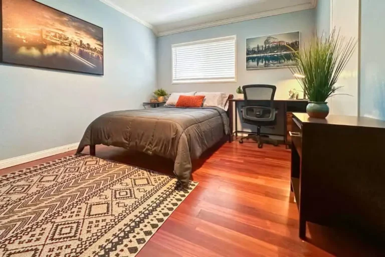 Bedroom with a single bed, desk, hardwood floor and decorative rug