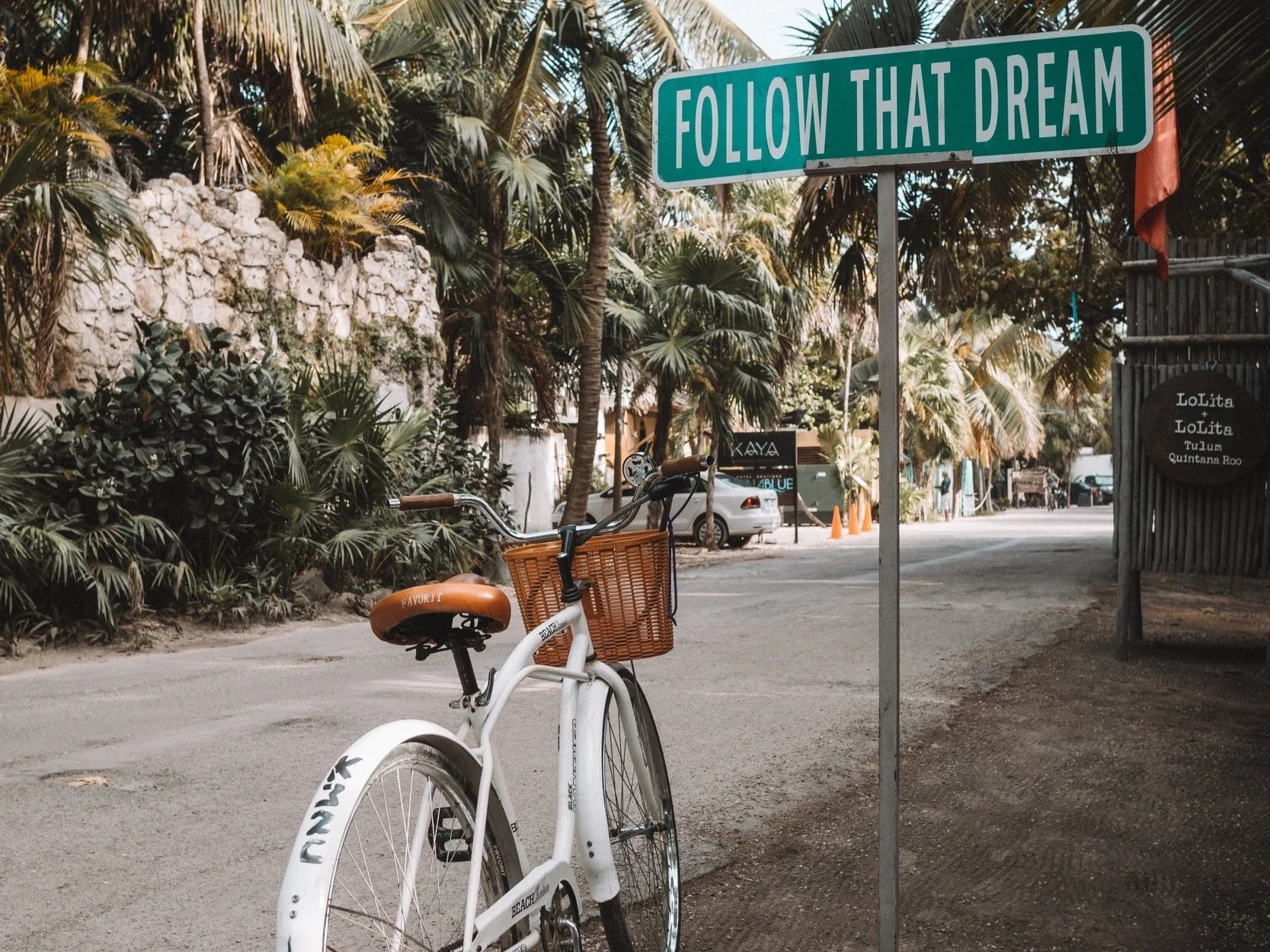 White beach cruiser bicycle beside a Follow That Dream street sign among palm trees