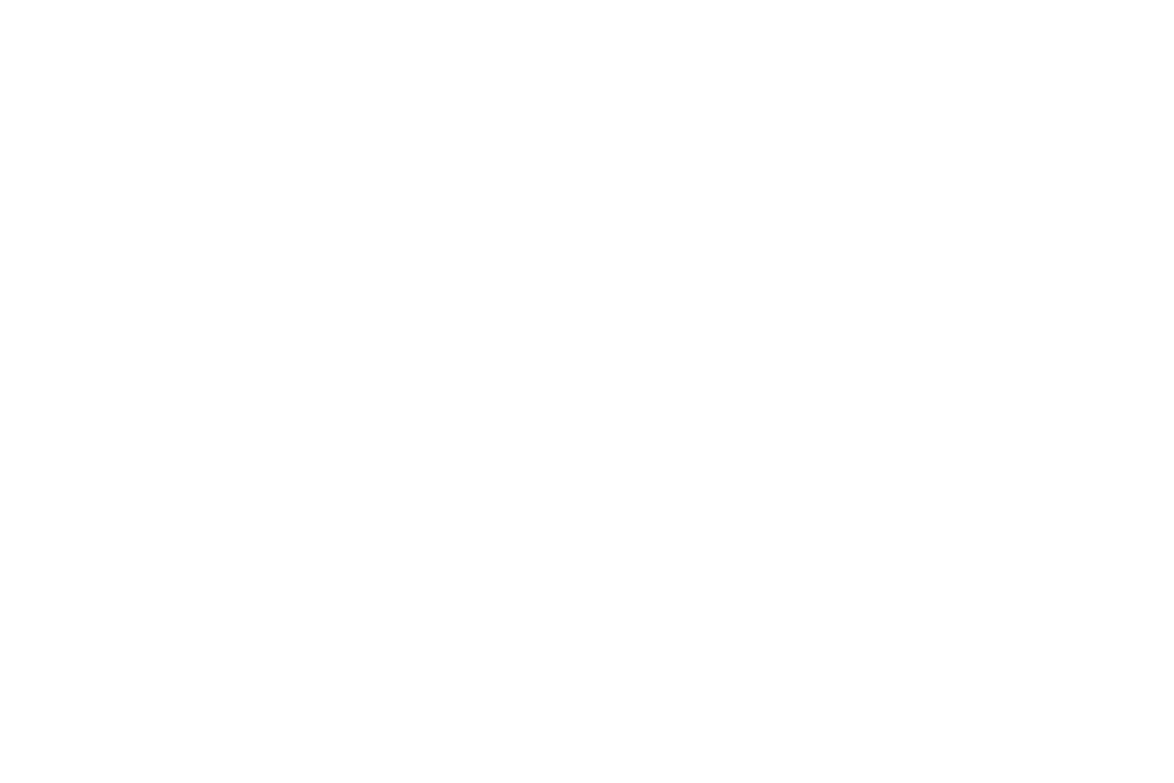 Prographics