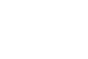 Skylark