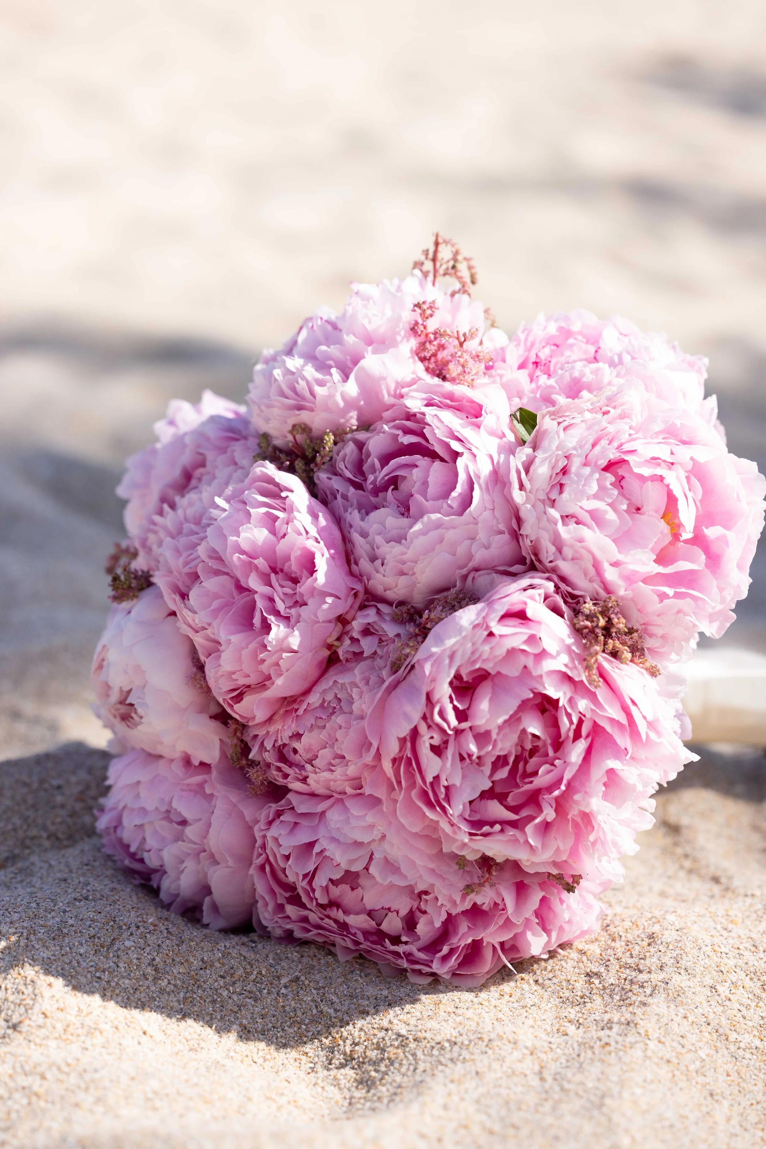Pink peony bridal bouquet resting on sand