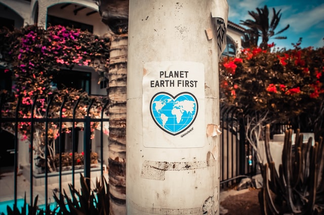 Concrete pillar with a Planet Earth First sticker