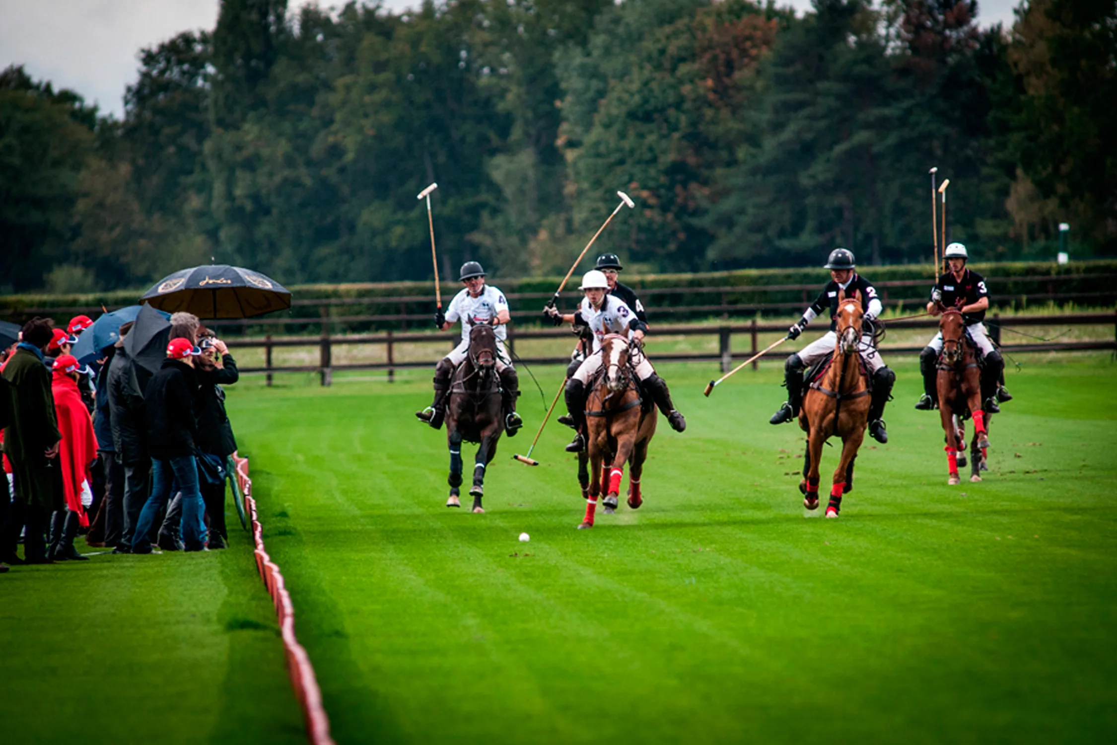 Four riders charging down a green field in the rain, spectators with umbrellas