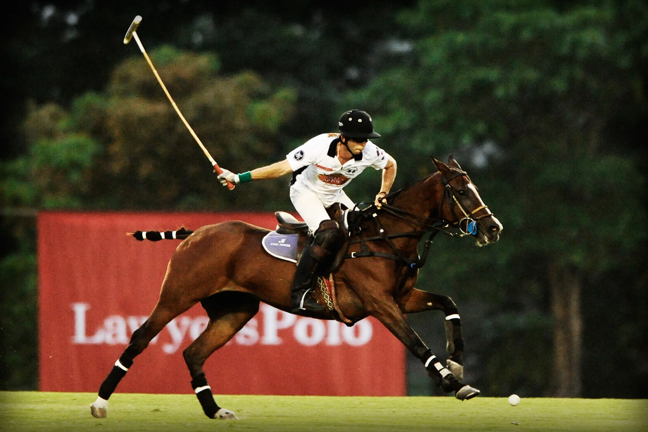 Solo rider at the gallop past the Lawyers Polo banner