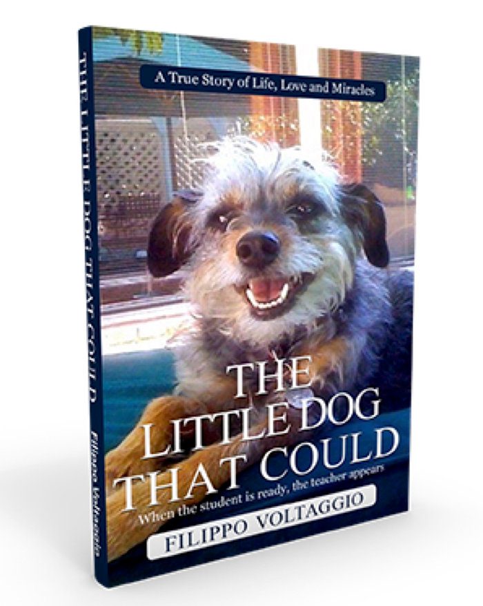 “The Little Dog That Could” book by Filippo Voltaggio