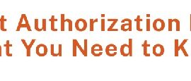 Blog thumbnail about employment authorization — what you need to know