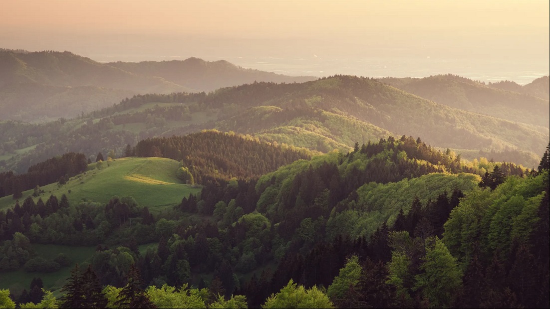 Aerial view of rolling forested hills at golden-hour sunset