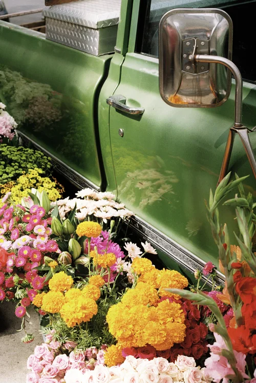 Marigolds crowded against the green truck door.