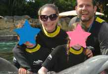 Couple with two children in wetsuits at a dolphin swim experience at Discovery Cove