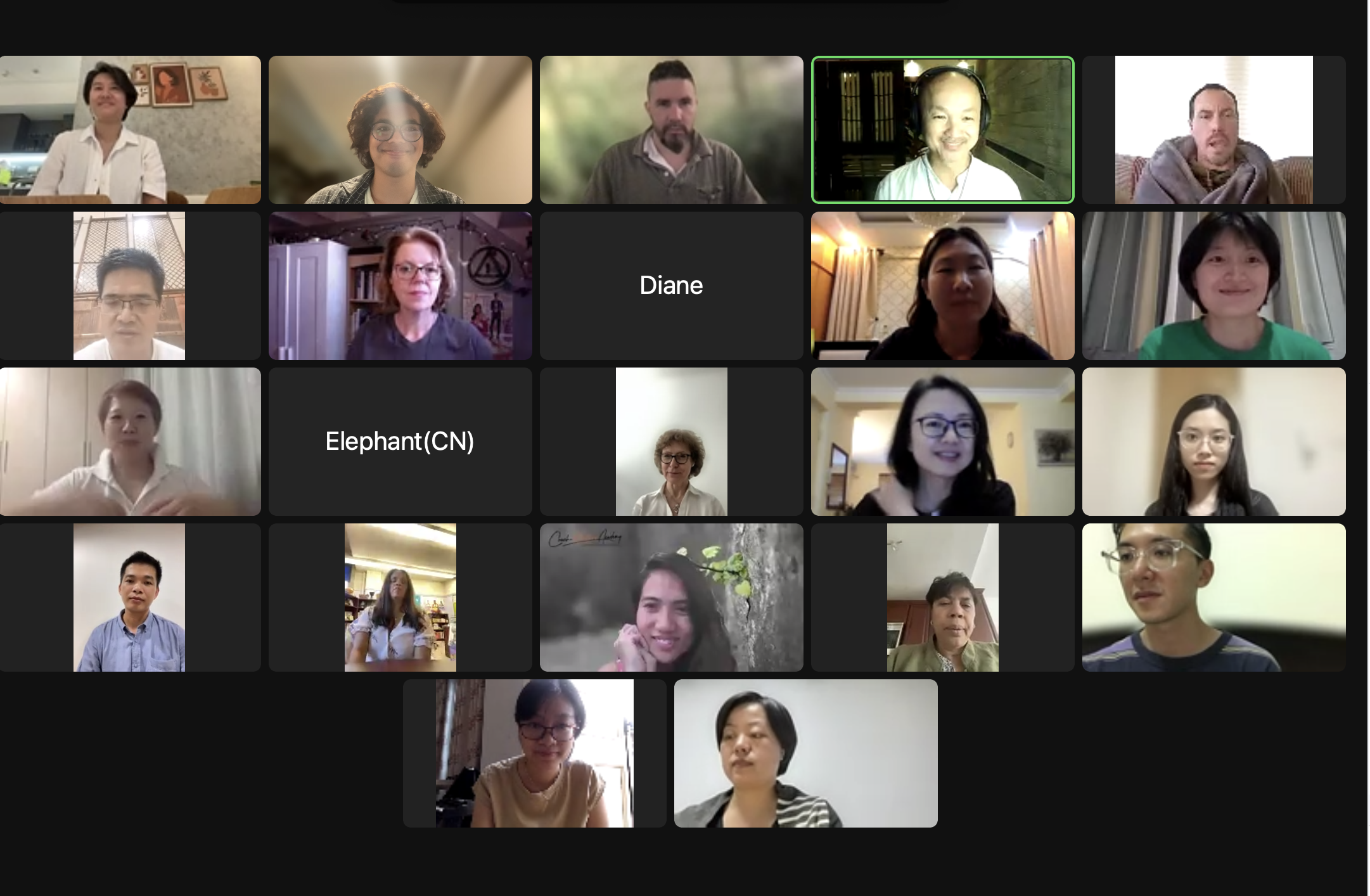 Zoom video call grid of about 17 diverse MindKindness participants